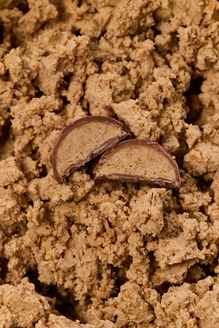 Choco wildberries